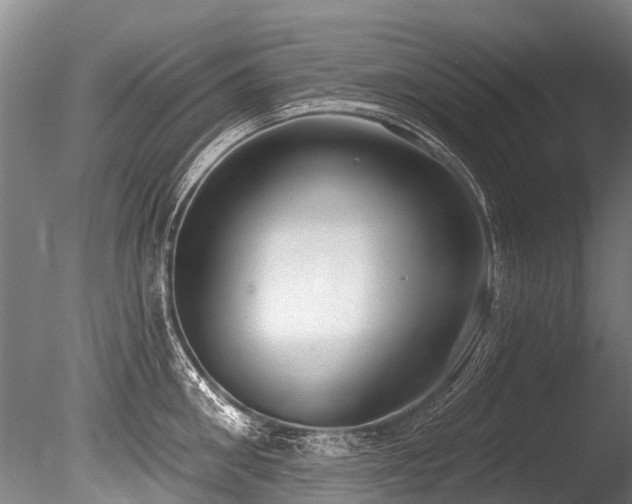 X0000086050906200703231304