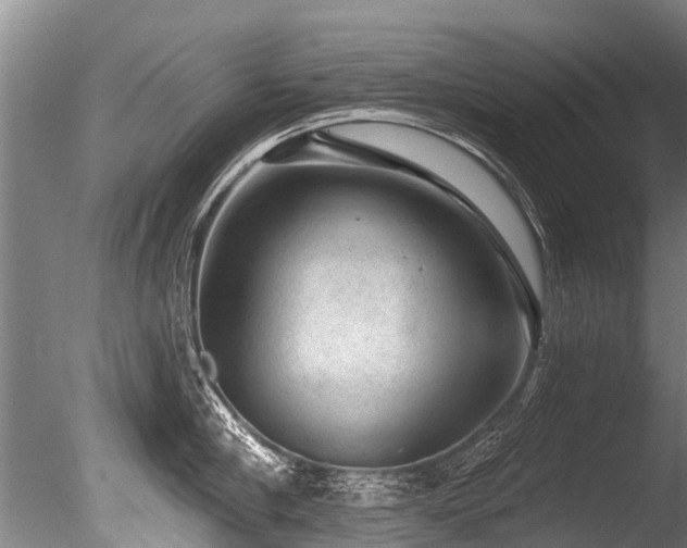 X0000086050910200703231304