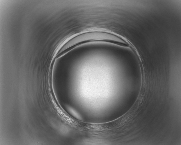 X0000086050911200703231304