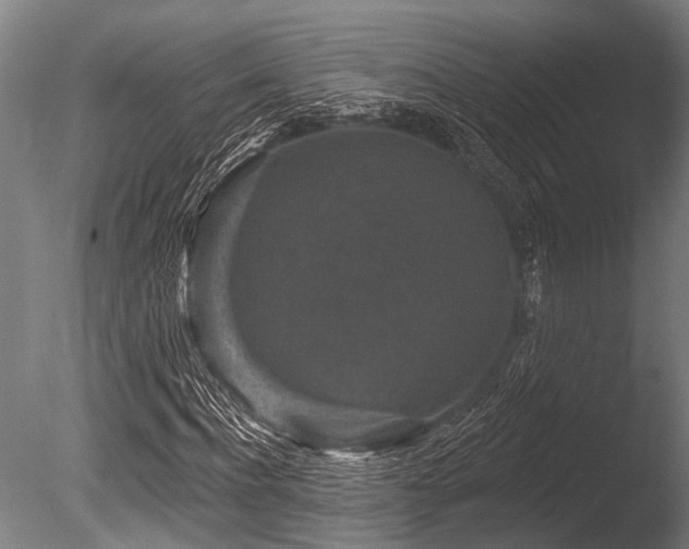 X0000086050916200703231303