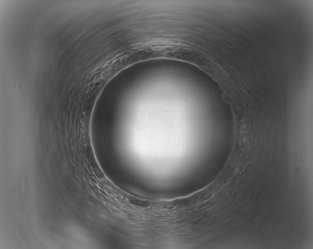 X0000086050917200703231303