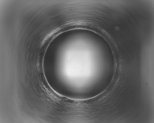 X0000086050922200703231303