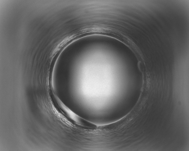 X0000086050938200703231303