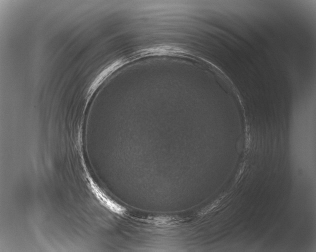 X0000086050946200703231303