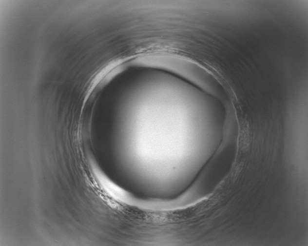 X0000086050956200703231303