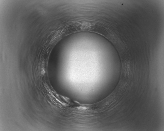 X0000086050962200703231303