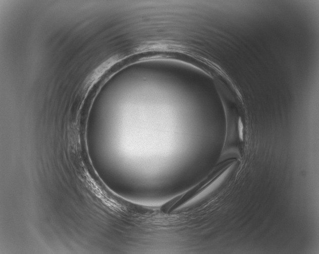 X0000086050972200703231303