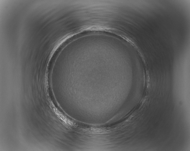 X0000086050976200703231302