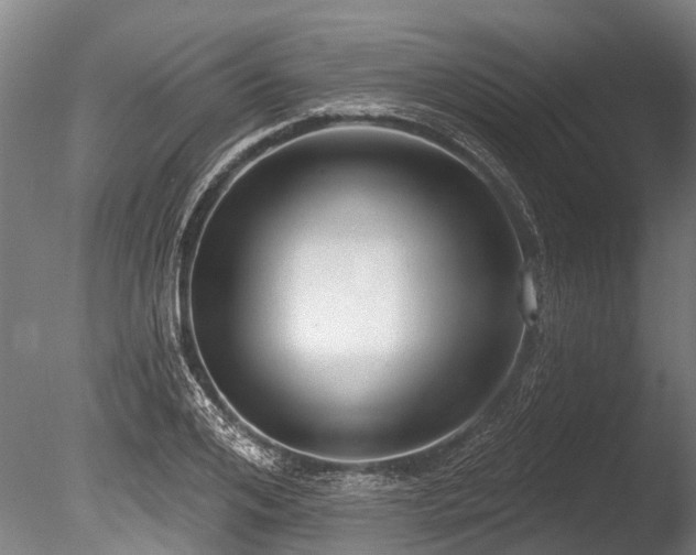 X0000086050984200703231302