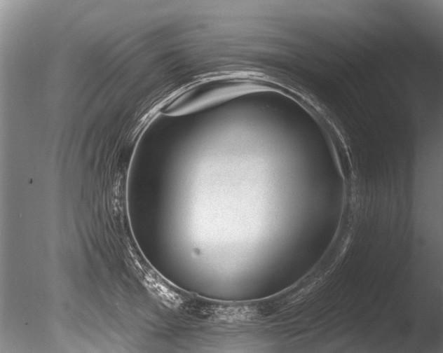 X0000086051001200703231302