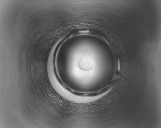 X0000086051010200703231301