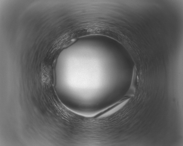X0000086051012200703231301