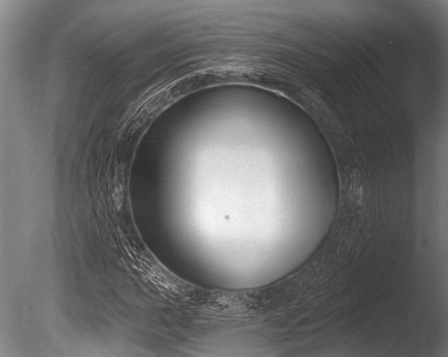 X0000086051015200703231301