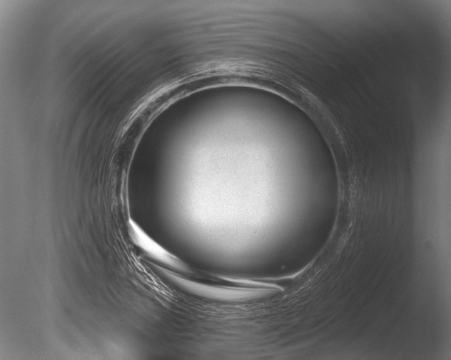 X0000086051019200703231301