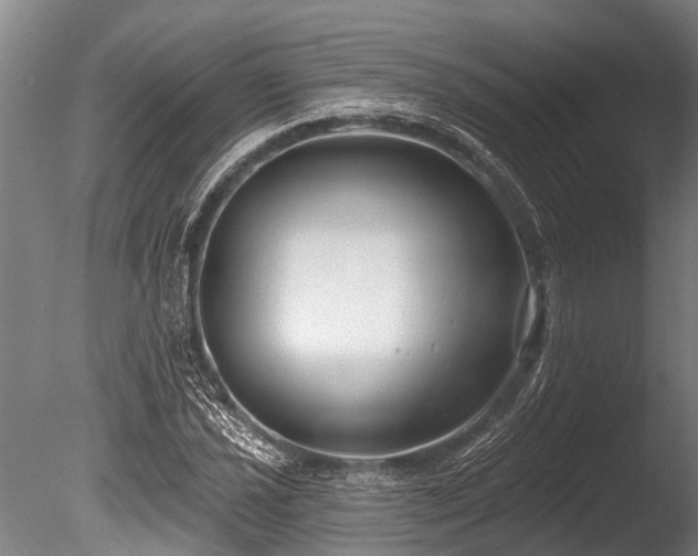 X0000086051021200703231301