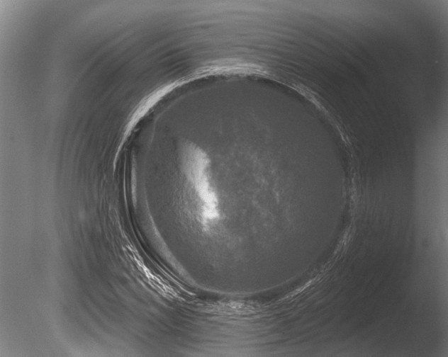 X0000086051022200703231301