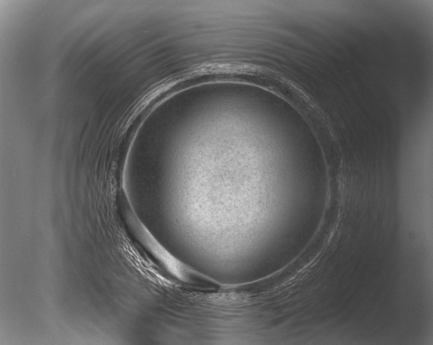 X0000086051025200703231301