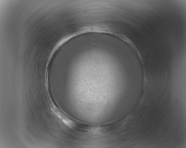X0000086051035200703231302