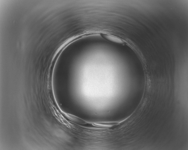 X0000086051052200703231302