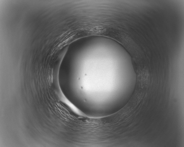X0000086051058200703231301