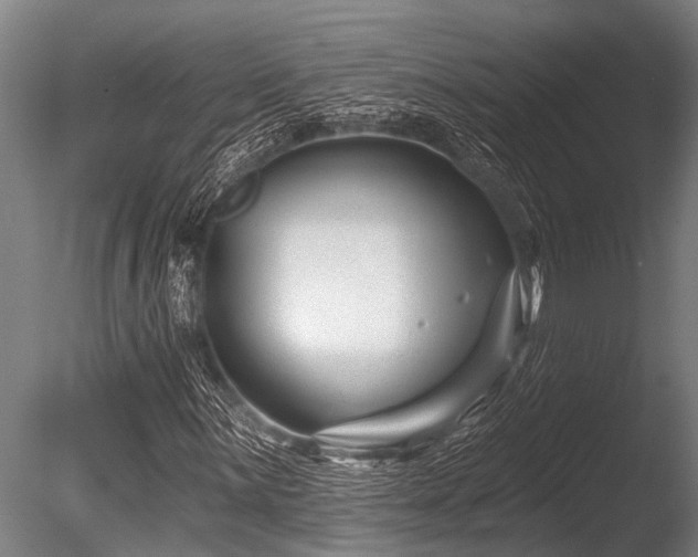 X0000086051059200703231301