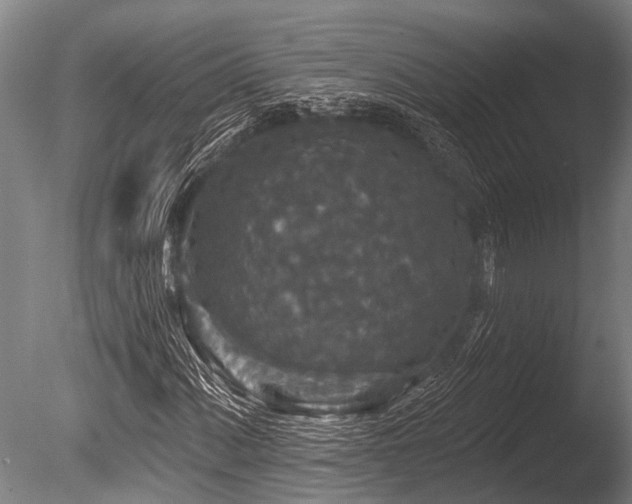 X0000086051060200703231301