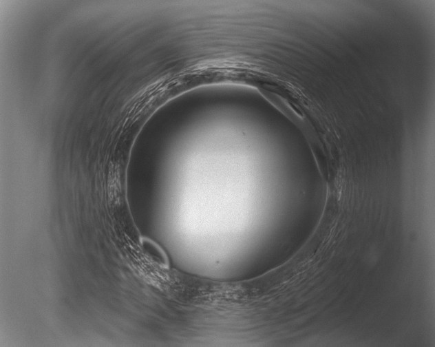 X0000086051062200703231301