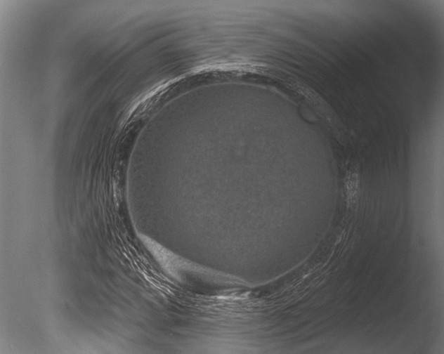 X0000086051064200703231301