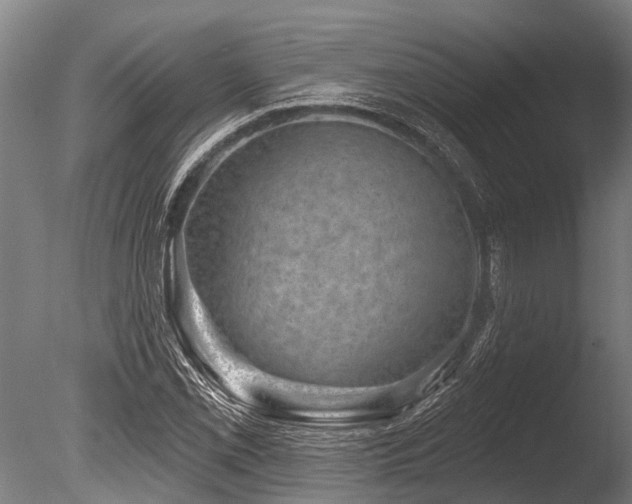 X0000086051069200703231301