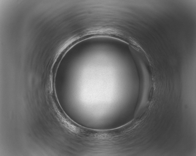 X0000086051079200703231301