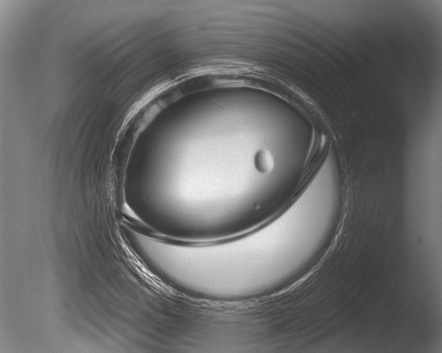 X0000086051114200703231300