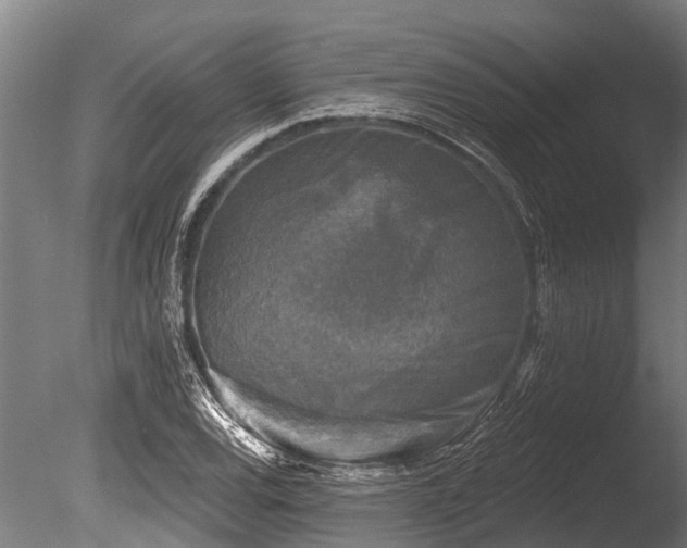 X0000086051120200703231300