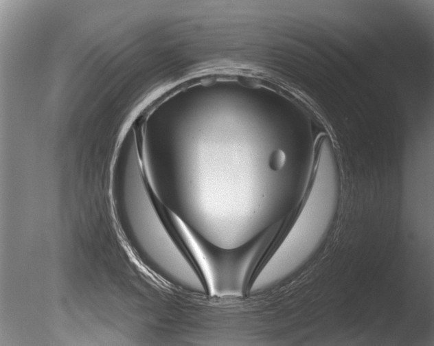 X0000086051128200703231300