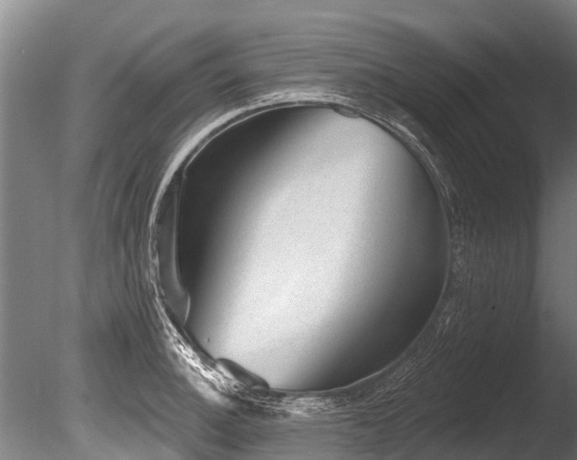 X0000086051140200703231300
