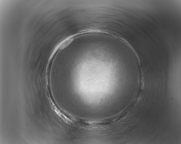 X0000086051148200703231300