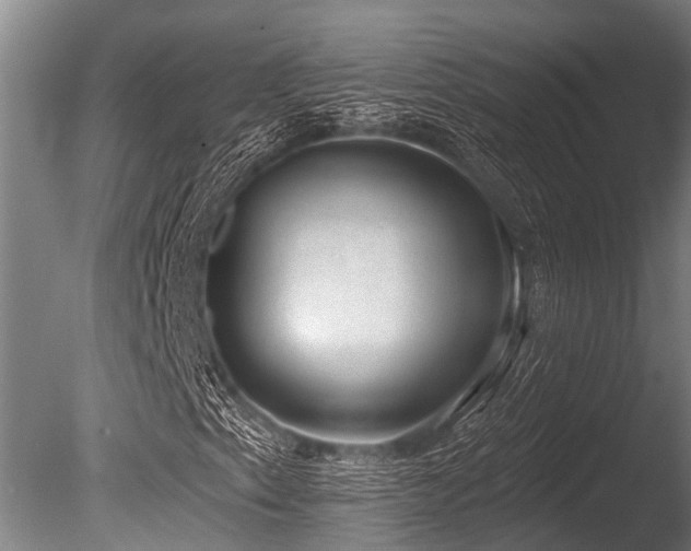 X0000086051153200703231259