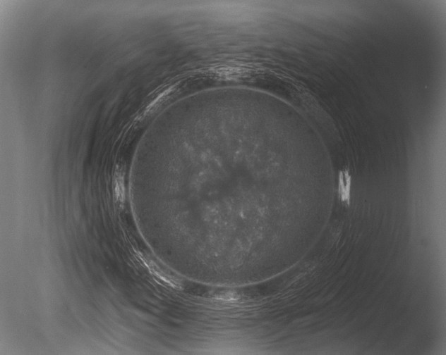 X0000086051155200703231259