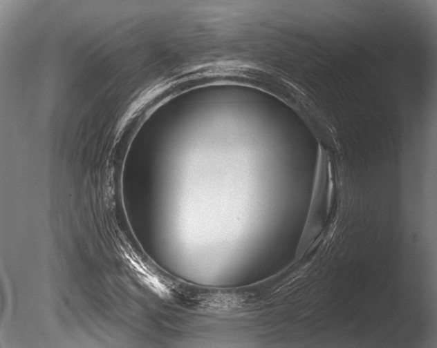 X0000086051164200703231259