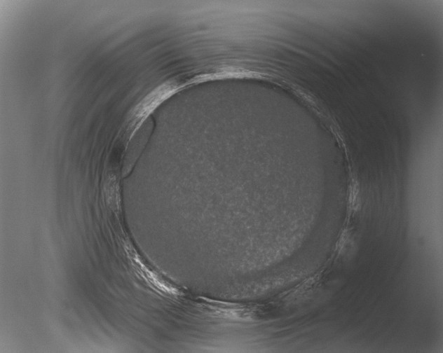 X0000086051177200703231259