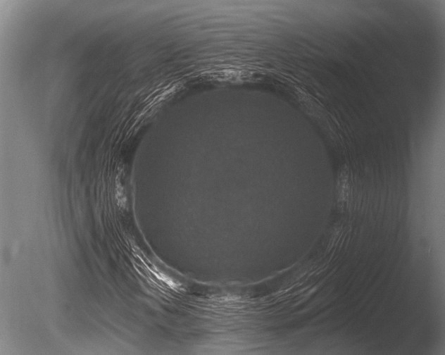 X0000086051202200703231258