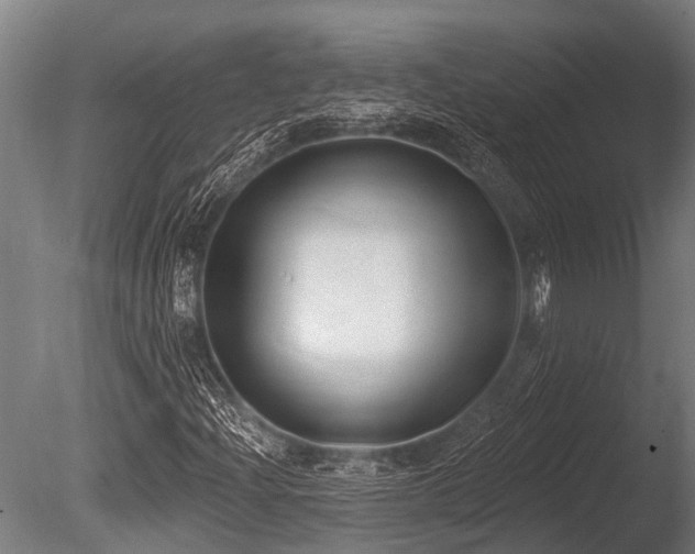 X0000086051204200703231258
