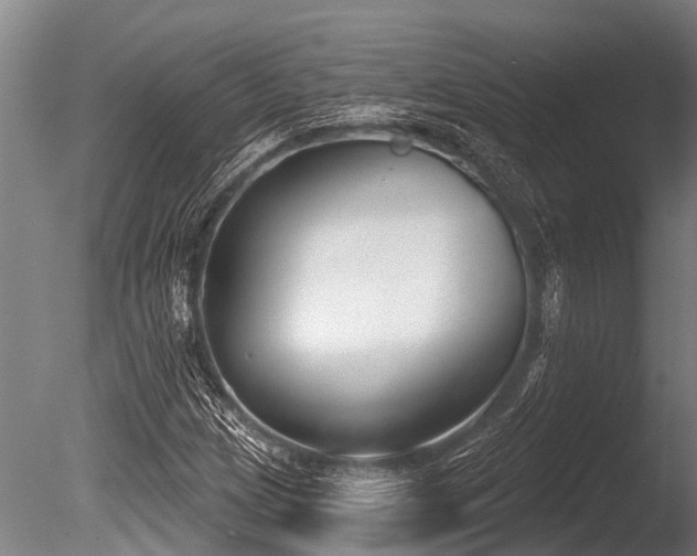 X0000086051209200703231258