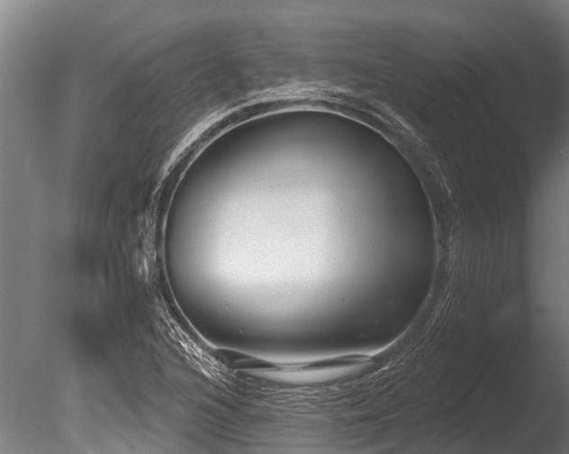 X0000086051216200703231258