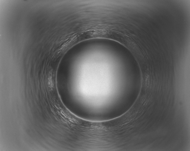 X0000086051250200703231258