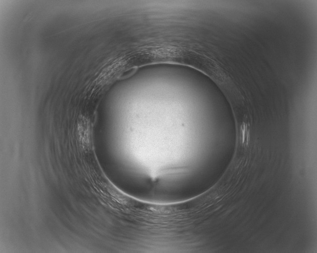 X0000086051251200703231258