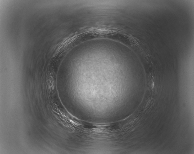 X0000086051253200703231258