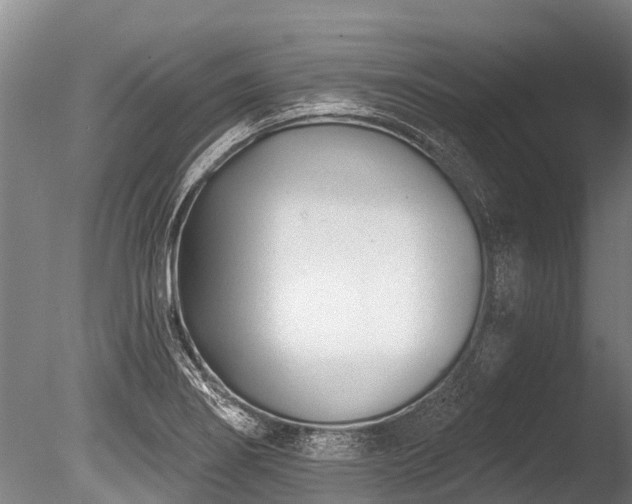 X0000086051274200703231257
