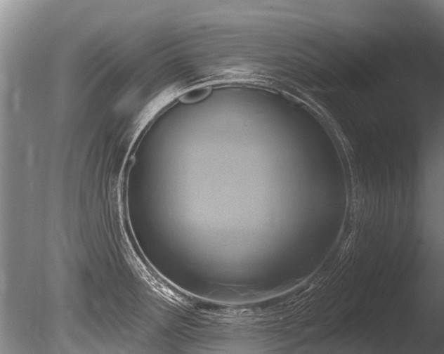 X0000086051291200703231257
