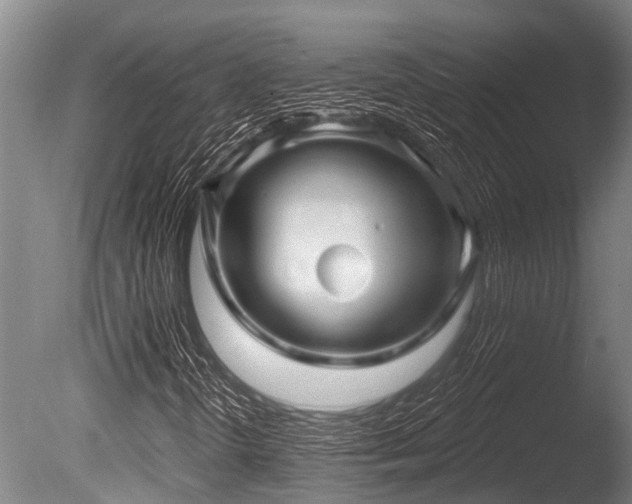 X0000086051298200703231256