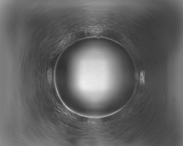 X0000086051299200703231256
